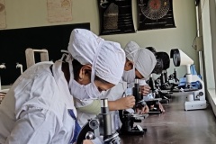 pgy-l-2